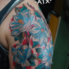 Magnolias front view